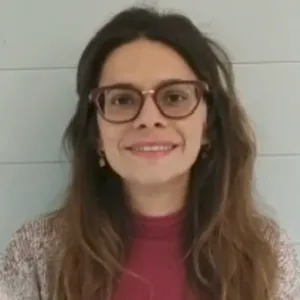 all spanish irregular verbs